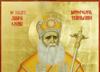 Personalitatea Mitropolitului-canonist Andrei Şaguna și lucrările sistematice de Drept canonic.